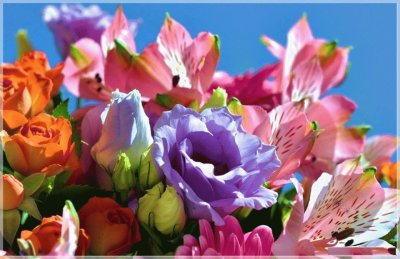 fleurs jigsaw puzzle