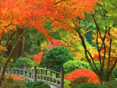 JAPONES
