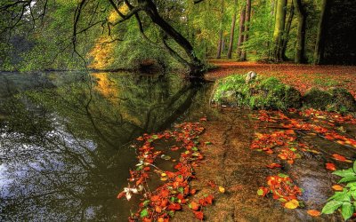 otoÃ±o