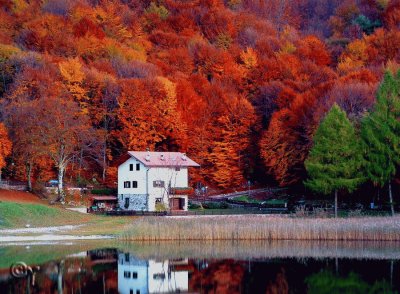 italia