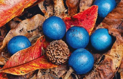 Autumn Blue jigsaw puzzle