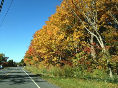 Fall 2014 Vermont jigsaw puzzle