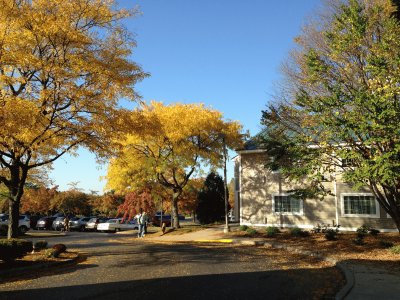 Fall Colors 2014 Vermont