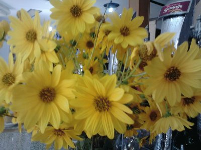 פאזל של flores amarillas
