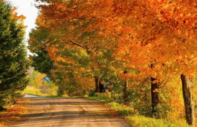 otoÃ±o