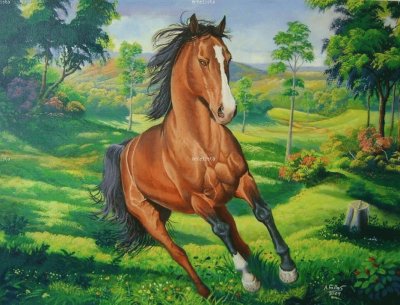 cavalo