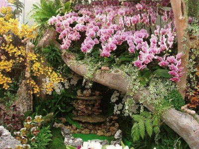 flores jigsaw puzzle