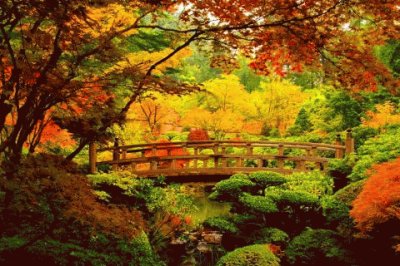bridge