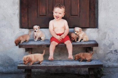 enfant et chiots