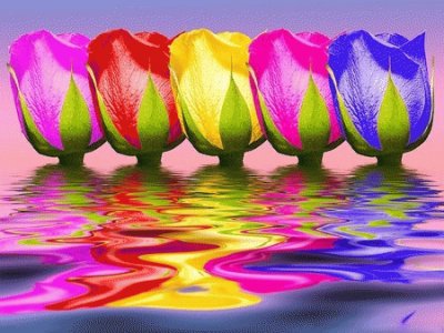 פאזל של Colored Tulips