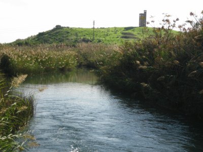 Hakibbutzim spring