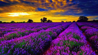 paisagem