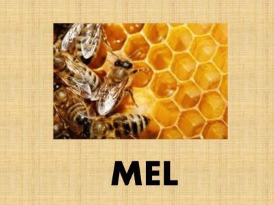 Mel