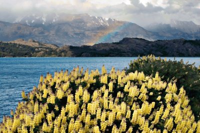 Primavera en el sur