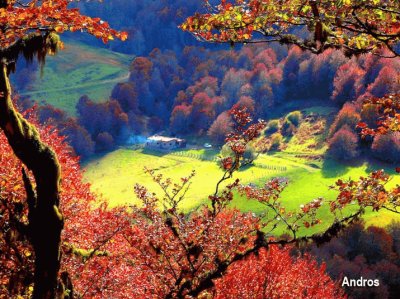 otoÃ±o