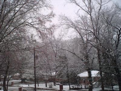 פאזל של Winter trees 2