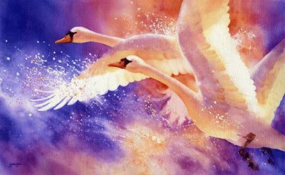 פאזל של Swans in Flight