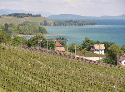 Lac NeuchÃ¢tel jigsaw puzzle