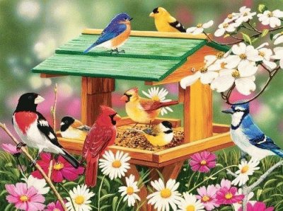 Birds jigsaw puzzle