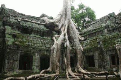 פאזל של Ta_Prohm-Siem_Reap-Cambogia