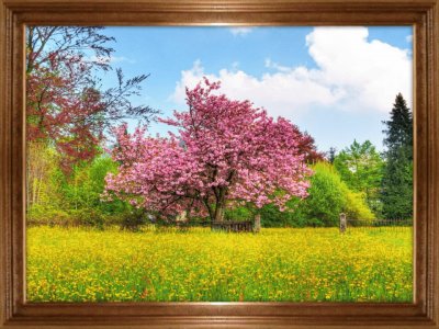 PAISAJE 1 jigsaw puzzle