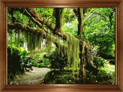 PAISAJE 4 jigsaw puzzle