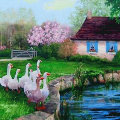 patos