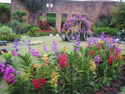 flores