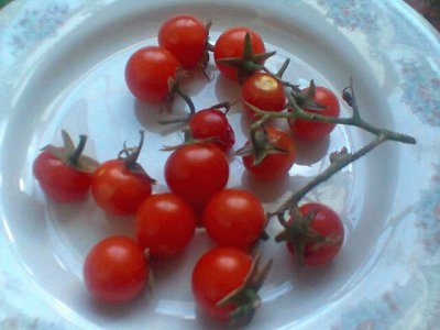 Cherry jigsaw puzzle