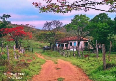 campo