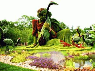 jardim
