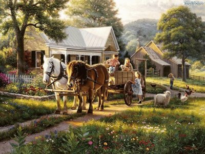 campo