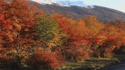 OtoÃ±o