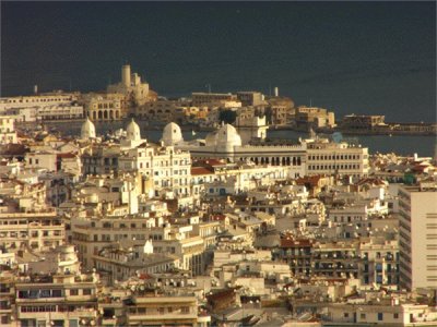 algeria jigsaw puzzle