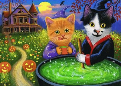gatos