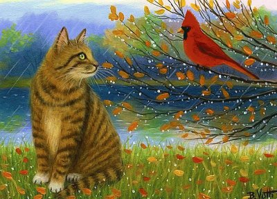 gato