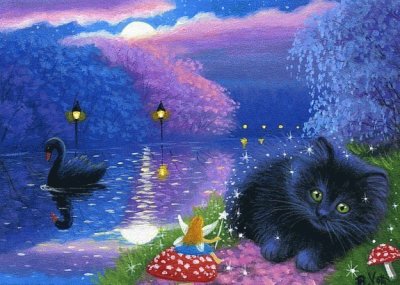gato