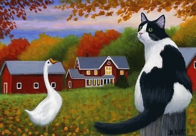gato