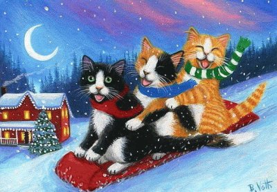 gatos