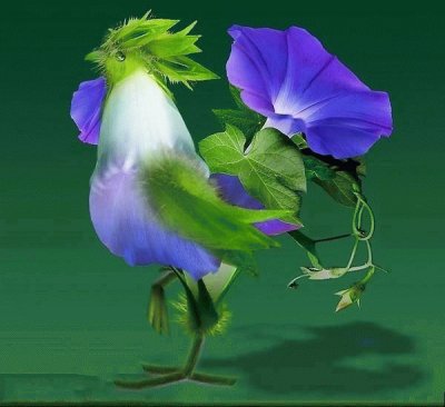flor