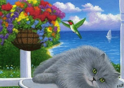 gato