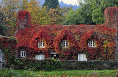 Cottage jigsaw puzzle