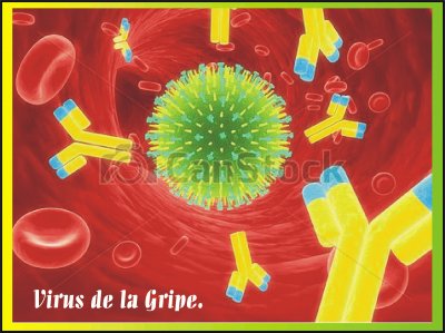 VIRUS DE LA GRIPE.