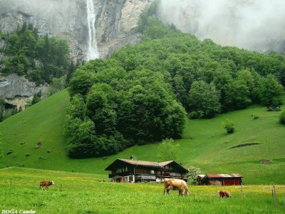 campo