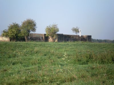 פאזל של Rheinmauer