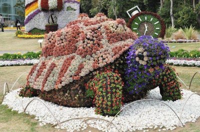 jardim