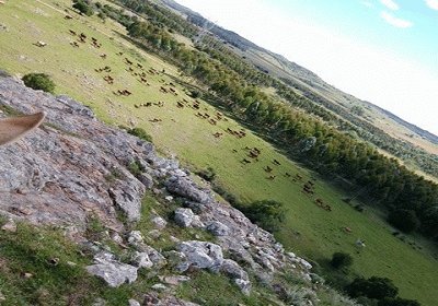 פאזל של los campos de aqui