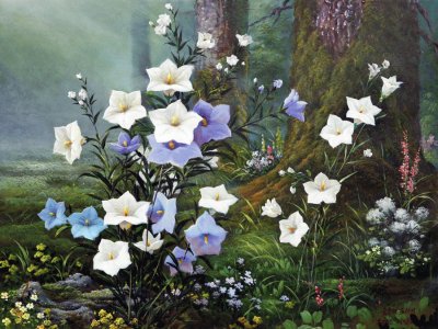 flor