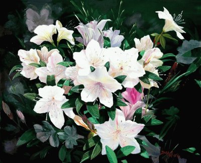flores