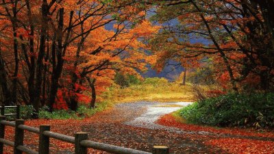 Autumn jigsaw puzzle